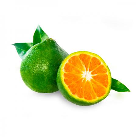 نارنگی سبز شیرین