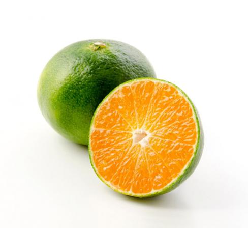نارنگی سبز تازه