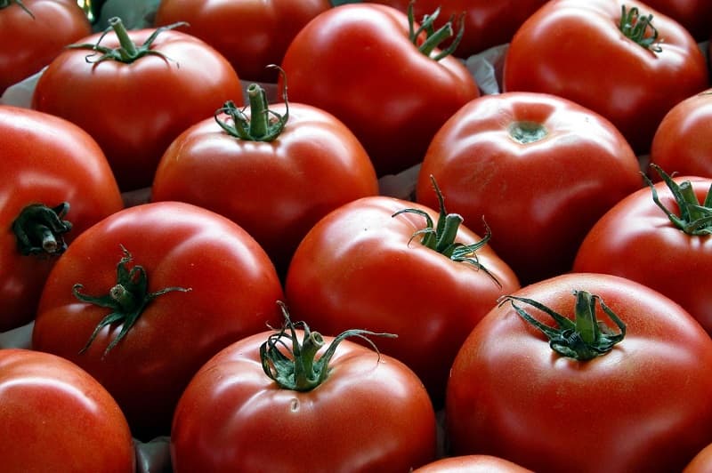 گوجه فرنگی امروز مشهد رقابت فروش با گیلاس دارند